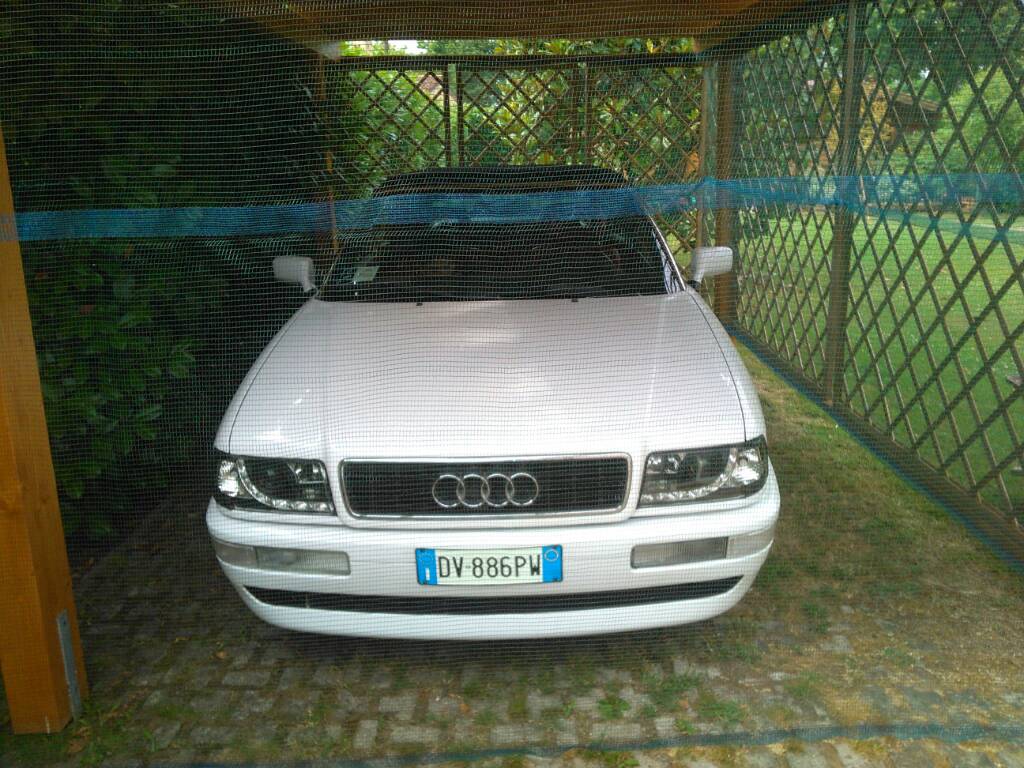 042cba18f6e099f657de19b736f30bbf.jpg