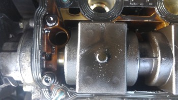 068266516071482.jpg