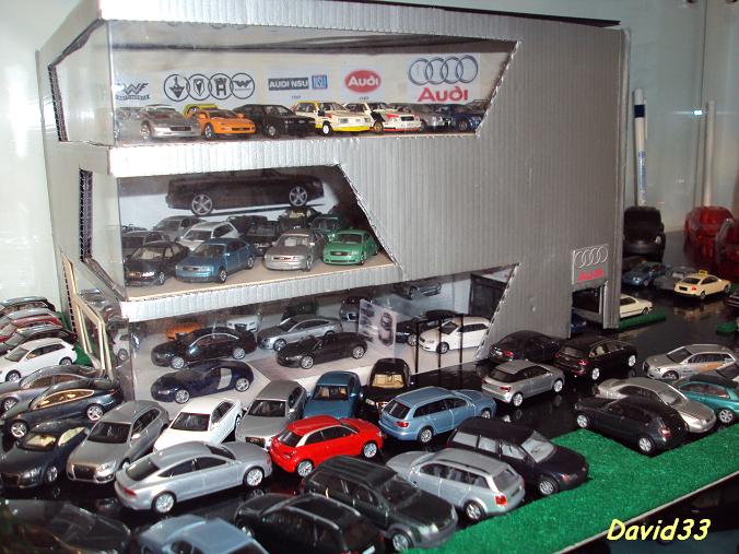 0DSC08500_Audi_2010_1.87_david33.jpg