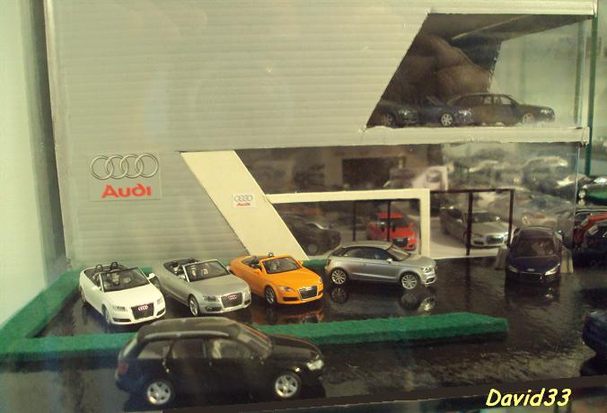 0DSC08548_david33_audi_2010_1.87.jpg