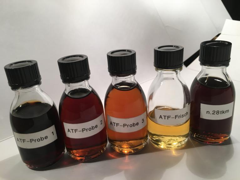 file.php?id=5387&mode=view