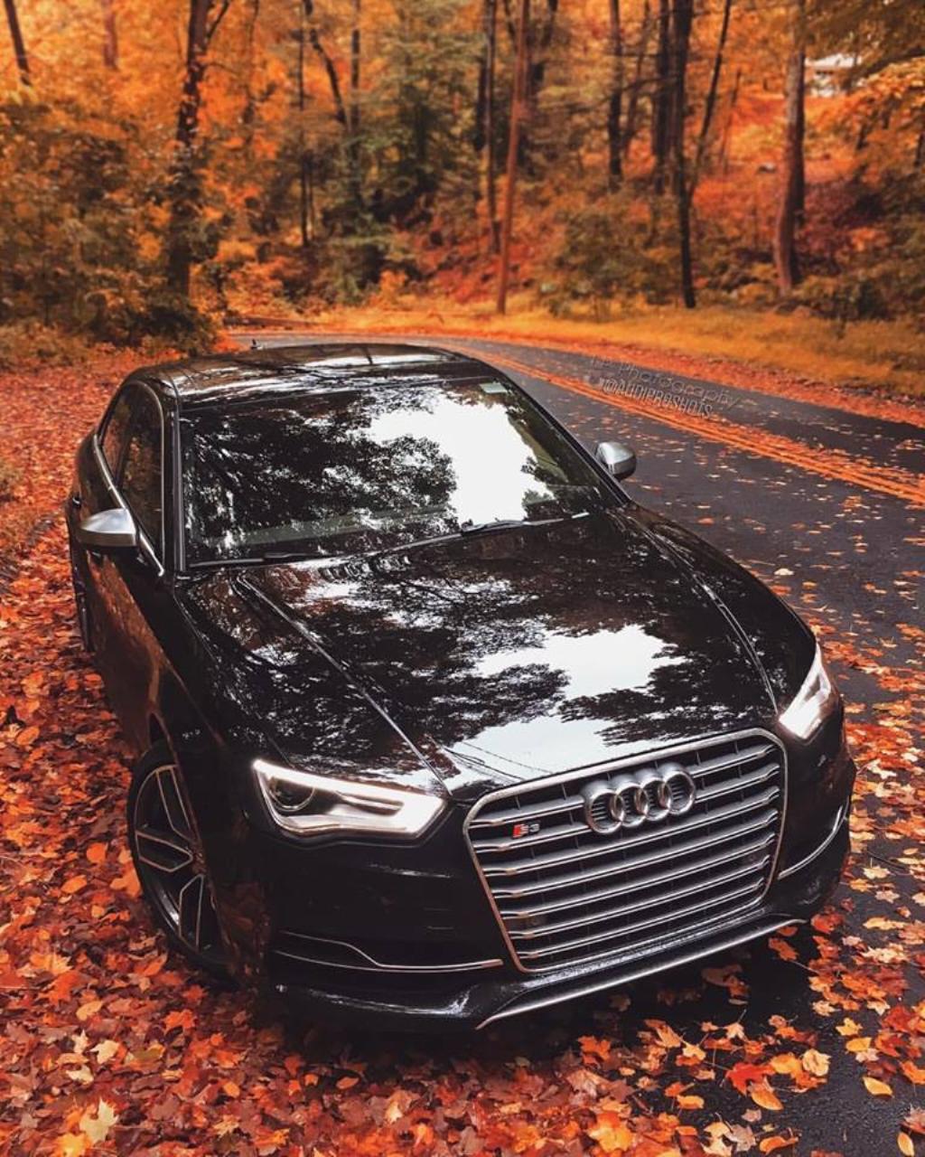 113006S38V2810.jpg