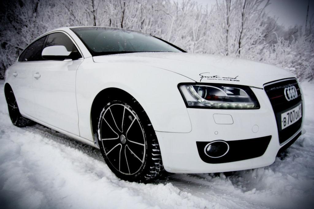 115396627NEIGE.jpg