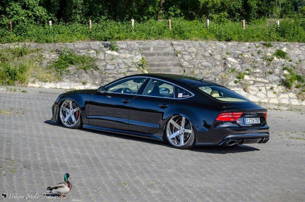 117069RS7900.jpg