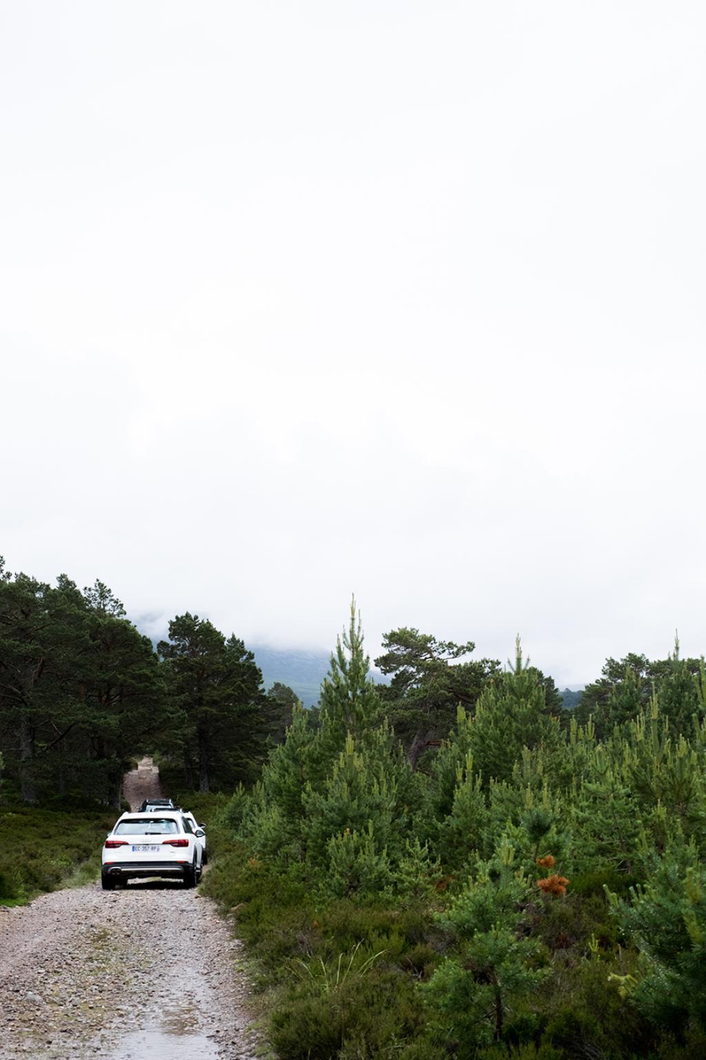1224610261A4ALLROADB9.jpg