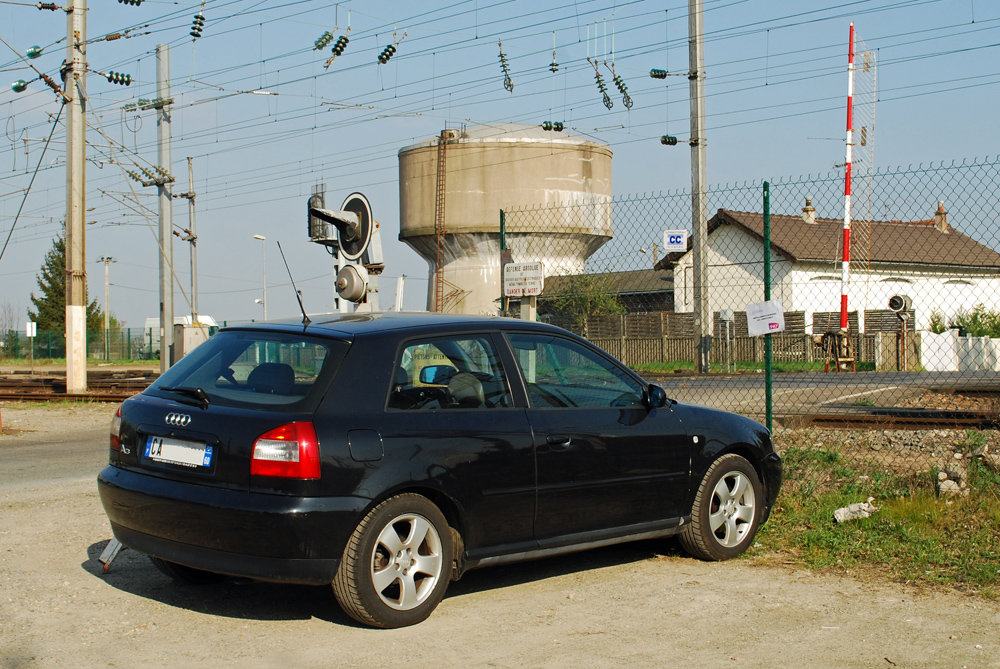 123872DSC3611b.jpg