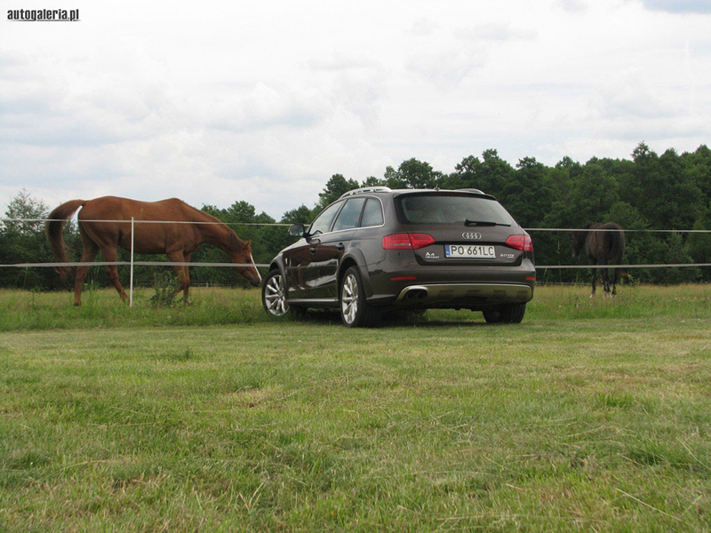 12508243AUDIA4ALLROAD.jpg