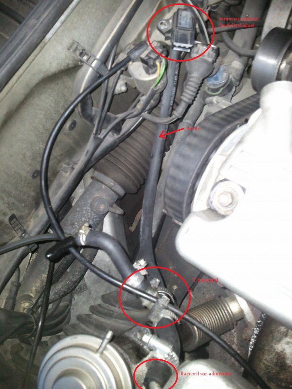 129725Photo3578a.jpg