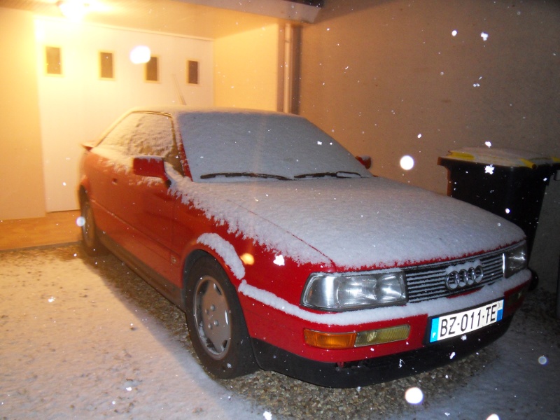 130303SDC12747.jpg
