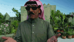 131121091651174395.gif
