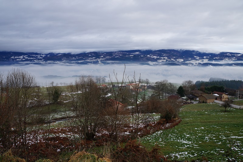 133894DSC02274Copie.jpg