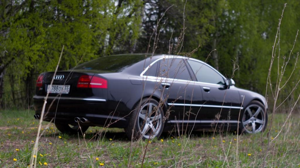 1341491169S8D3.jpg