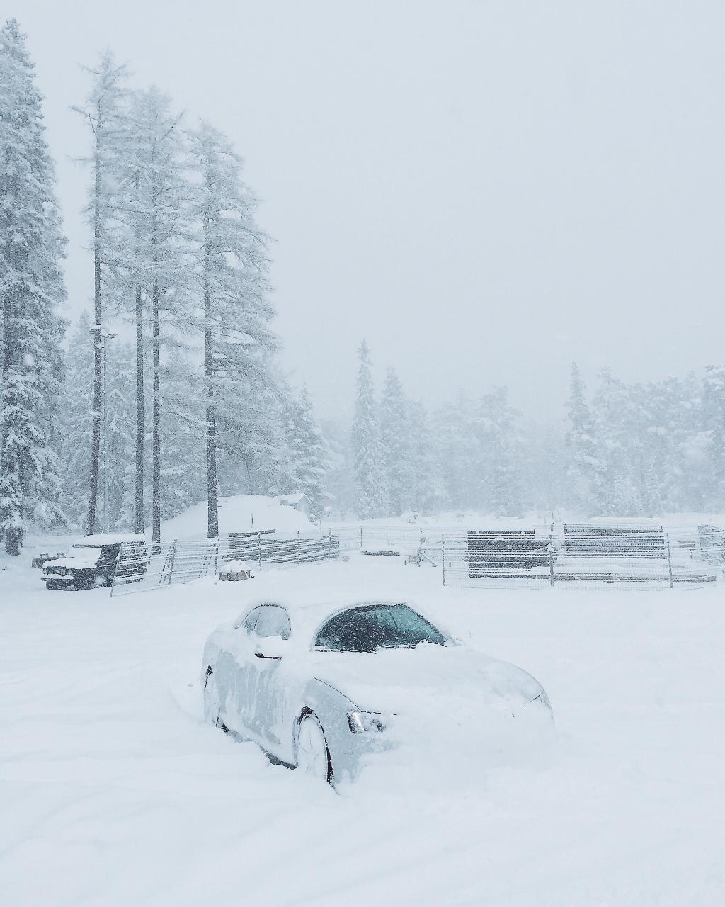 1363441769NEIGE.jpg