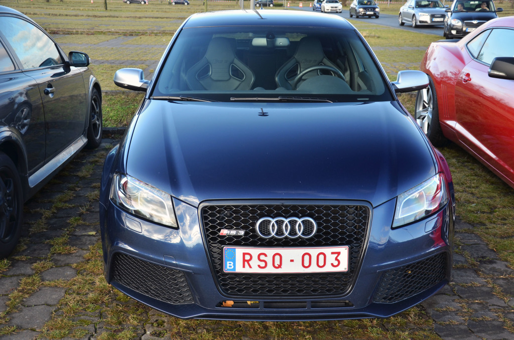 1365921952RS3.jpg