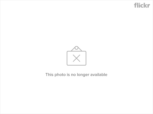 13903776094_d281a5c375.jpg