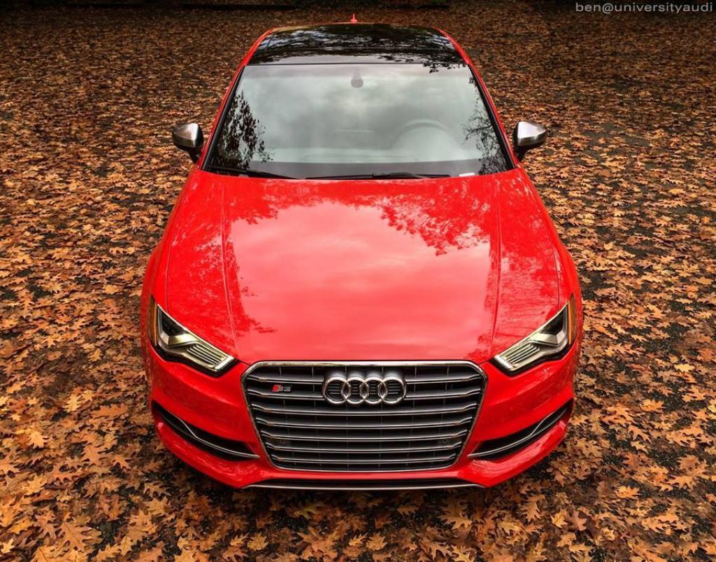139123S38V1084.jpg