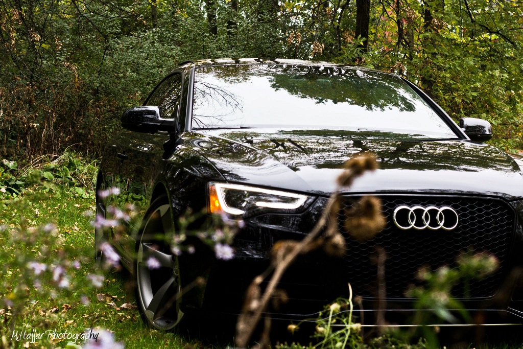 139248AUDIRS5535.jpg
