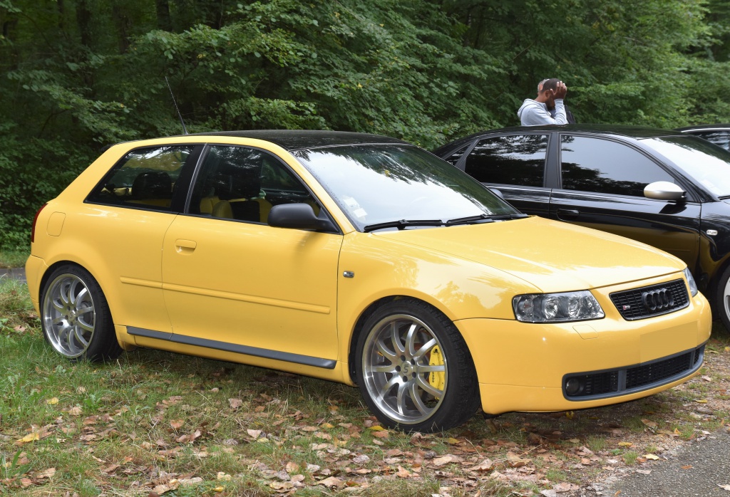 140373DSC00602x.jpg