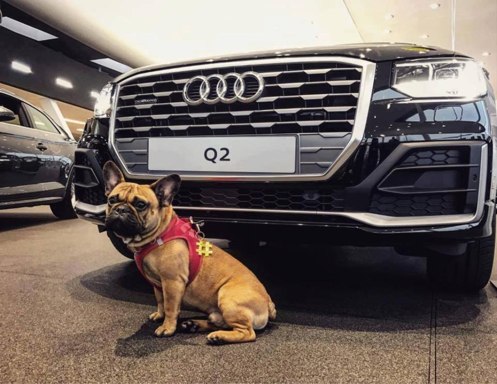 140426AUDIQ20691.jpg