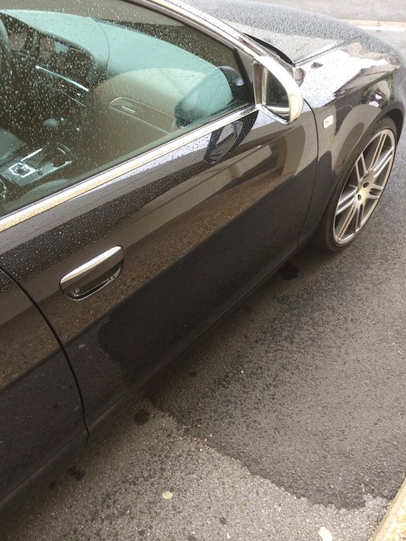 140824101004596467.jpg