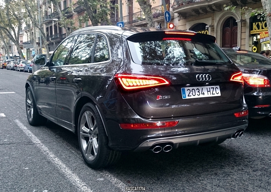 141064AUDISQ51281.jpg