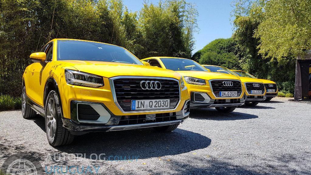 142994AUDIQ20294.jpg