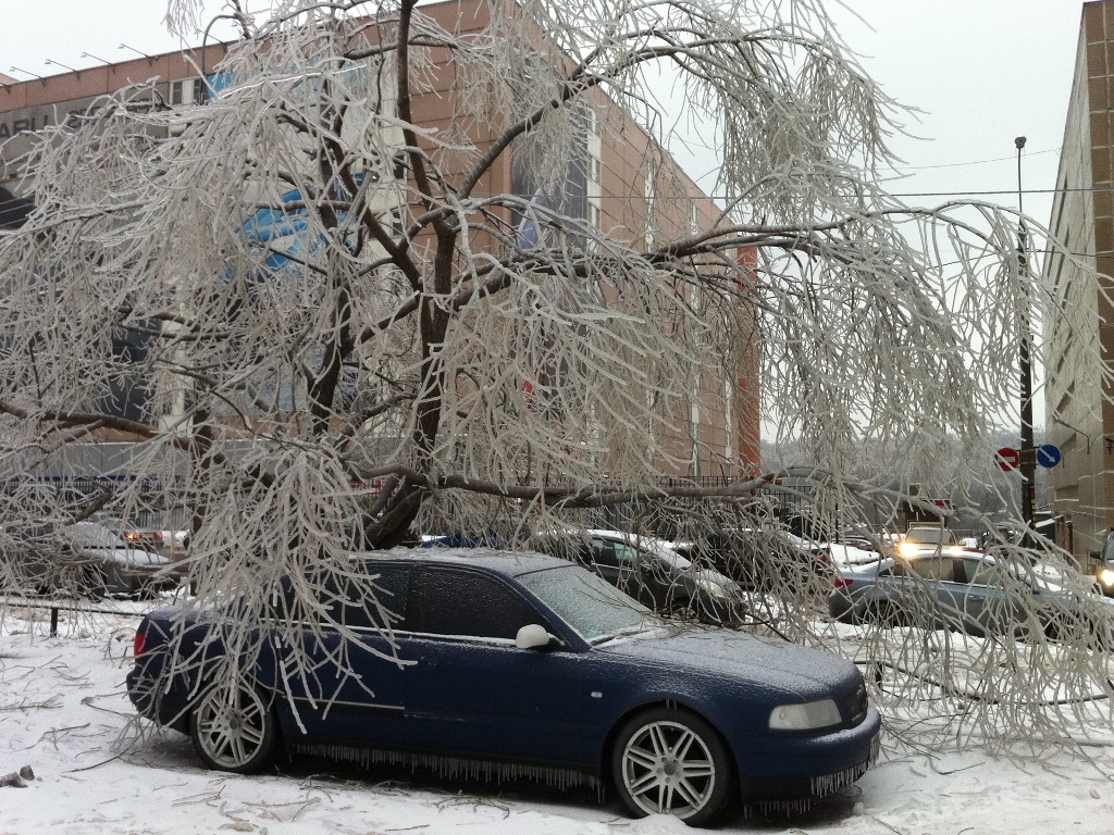 145687342NEIGEESQUIROU.jpg