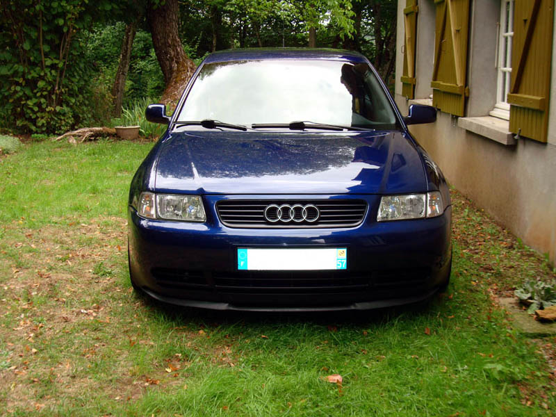 1457047355-dsc03518rnone.jpg