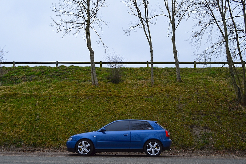 1458751890-dsc-0695.jpg