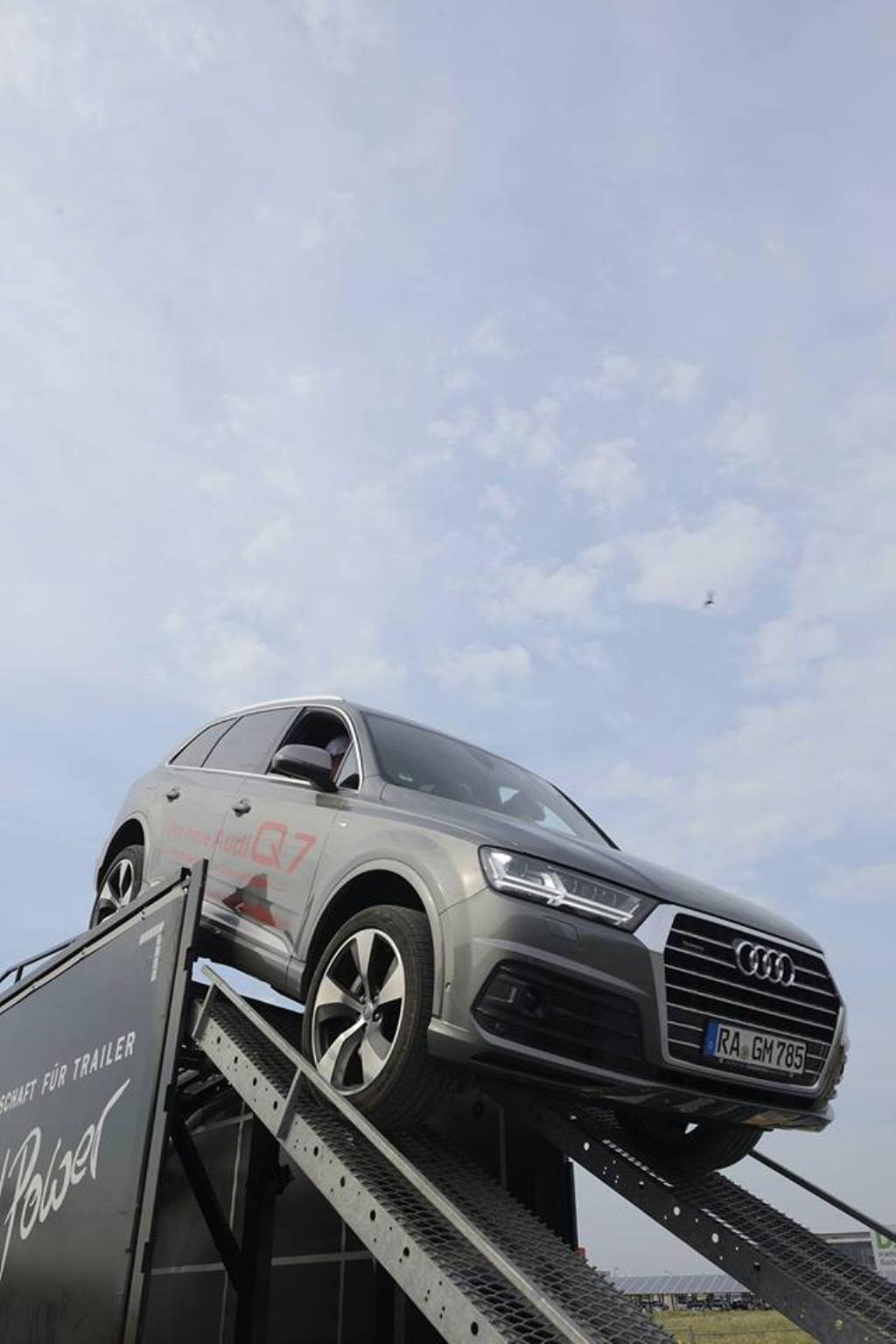 147138Q7MK2341.jpg