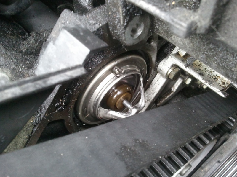 147762Photo5831.jpg