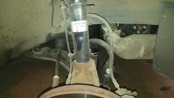 148f1b478682407.jpg