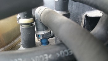 14fc55408535418.jpg