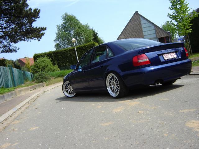 152462mooieerstam7.jpg