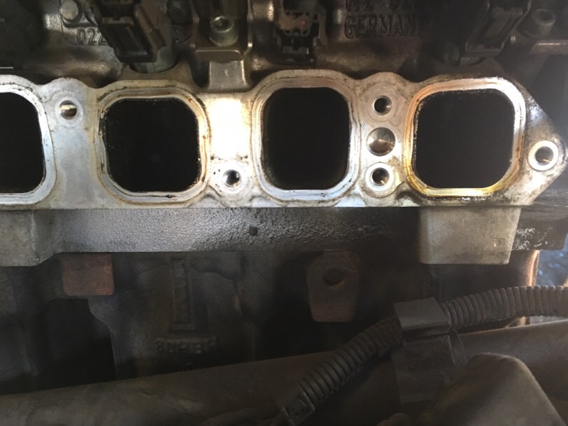 IMG_0114.JPG.df6f17b54349346984e5d9a3a70