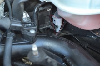 153659DSC0376.jpg