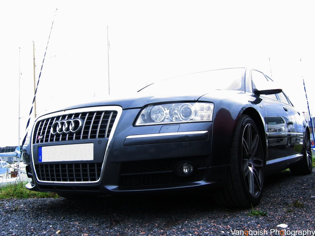 156829246S8ESQUIROU.jpg