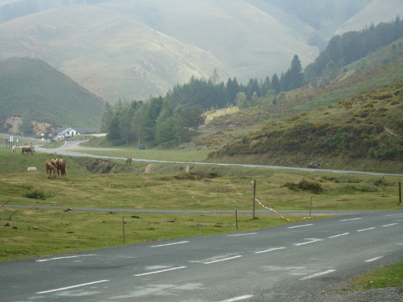 157701DSC00044.jpg