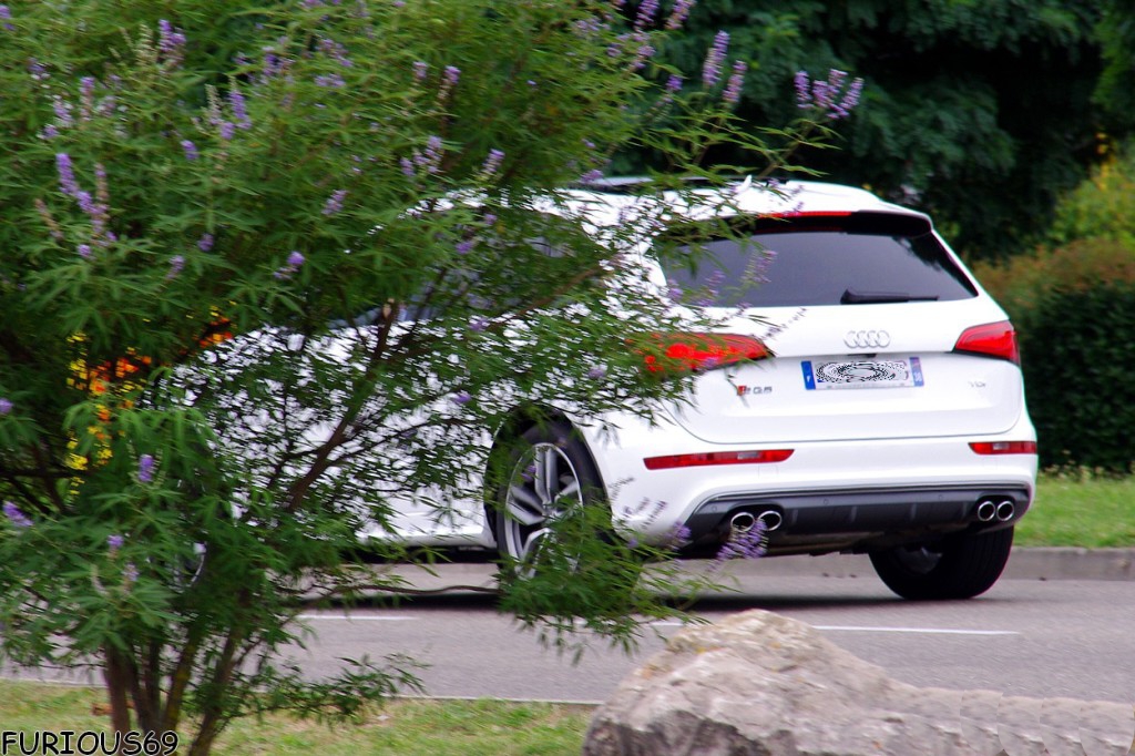 159440AUDISQ5823.jpg