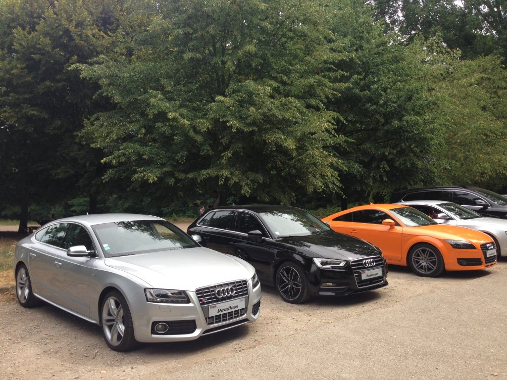 159619IMG1394x.jpg