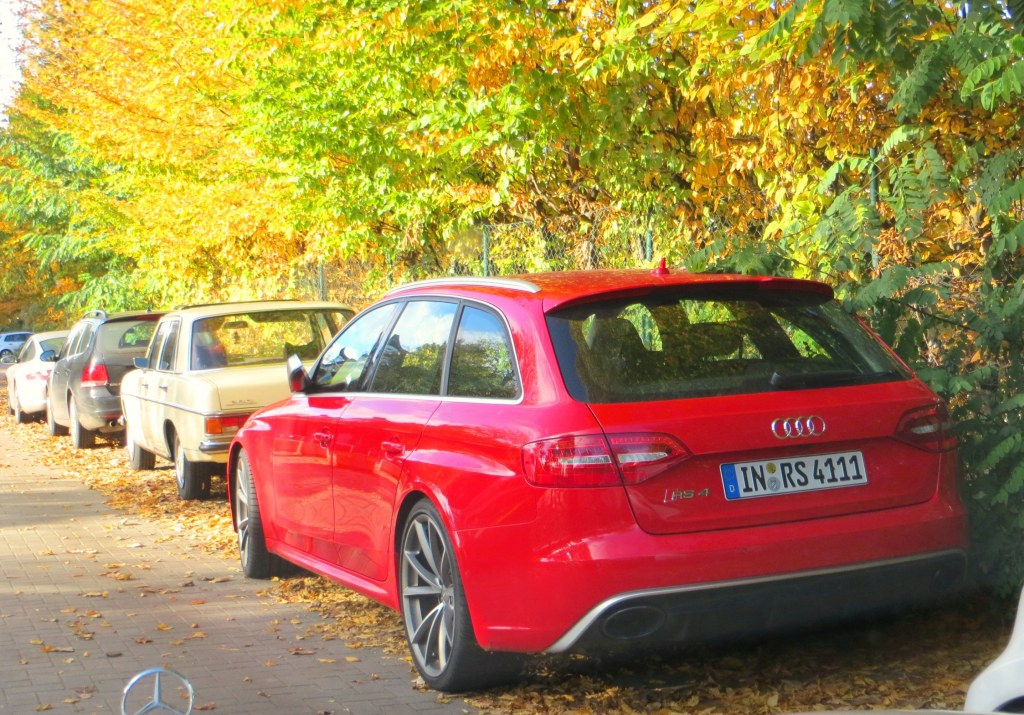 165500RS4B8322.jpg