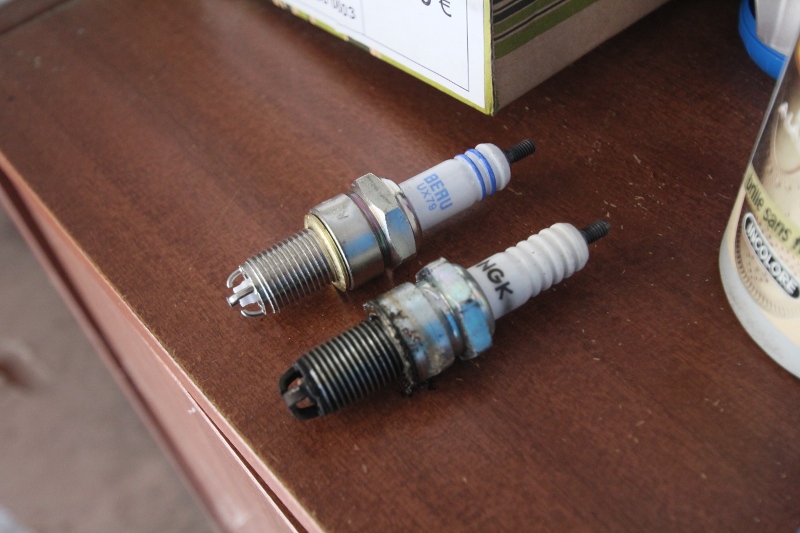 168237IMG5294.jpg