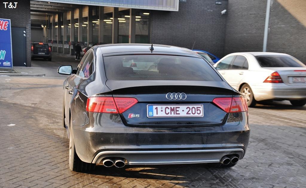168368S5SB110212ESQUIROU011.jpg