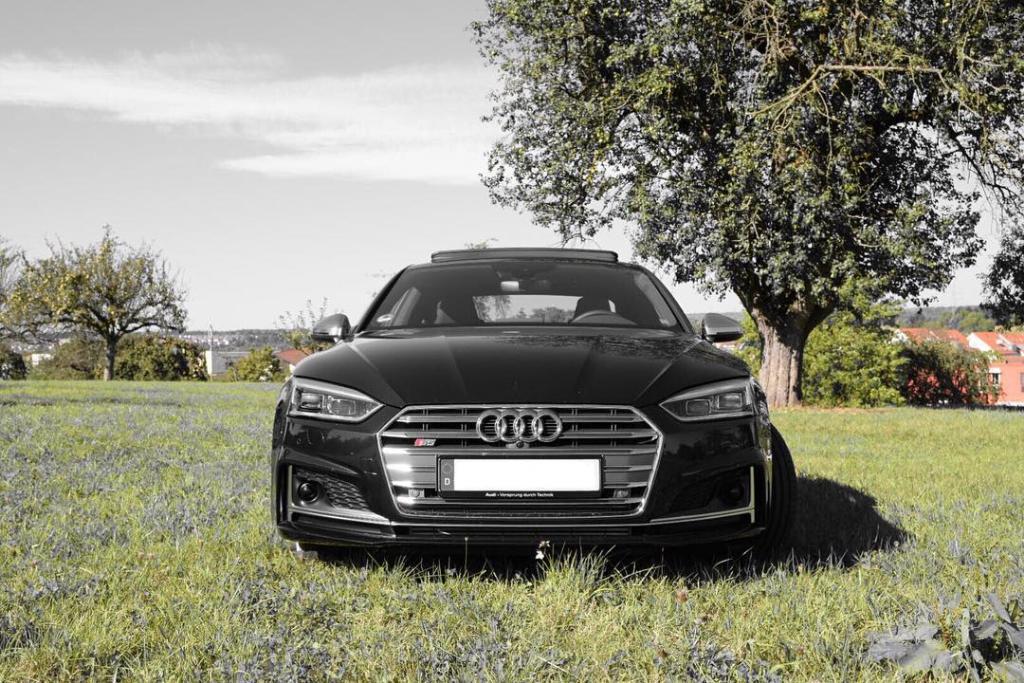 168757S5B90216.jpg