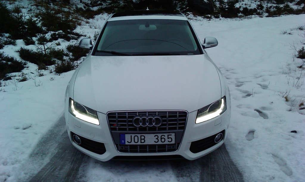 169521344NEIGEESQUIROU.jpg