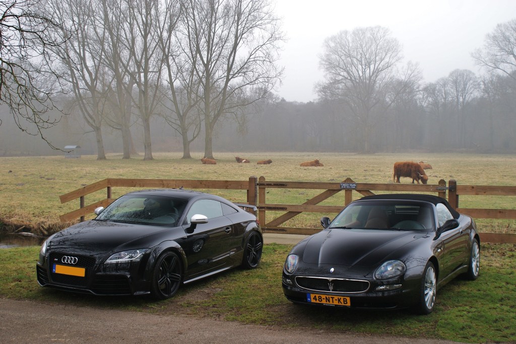 170184AUDITTRS1446.jpg