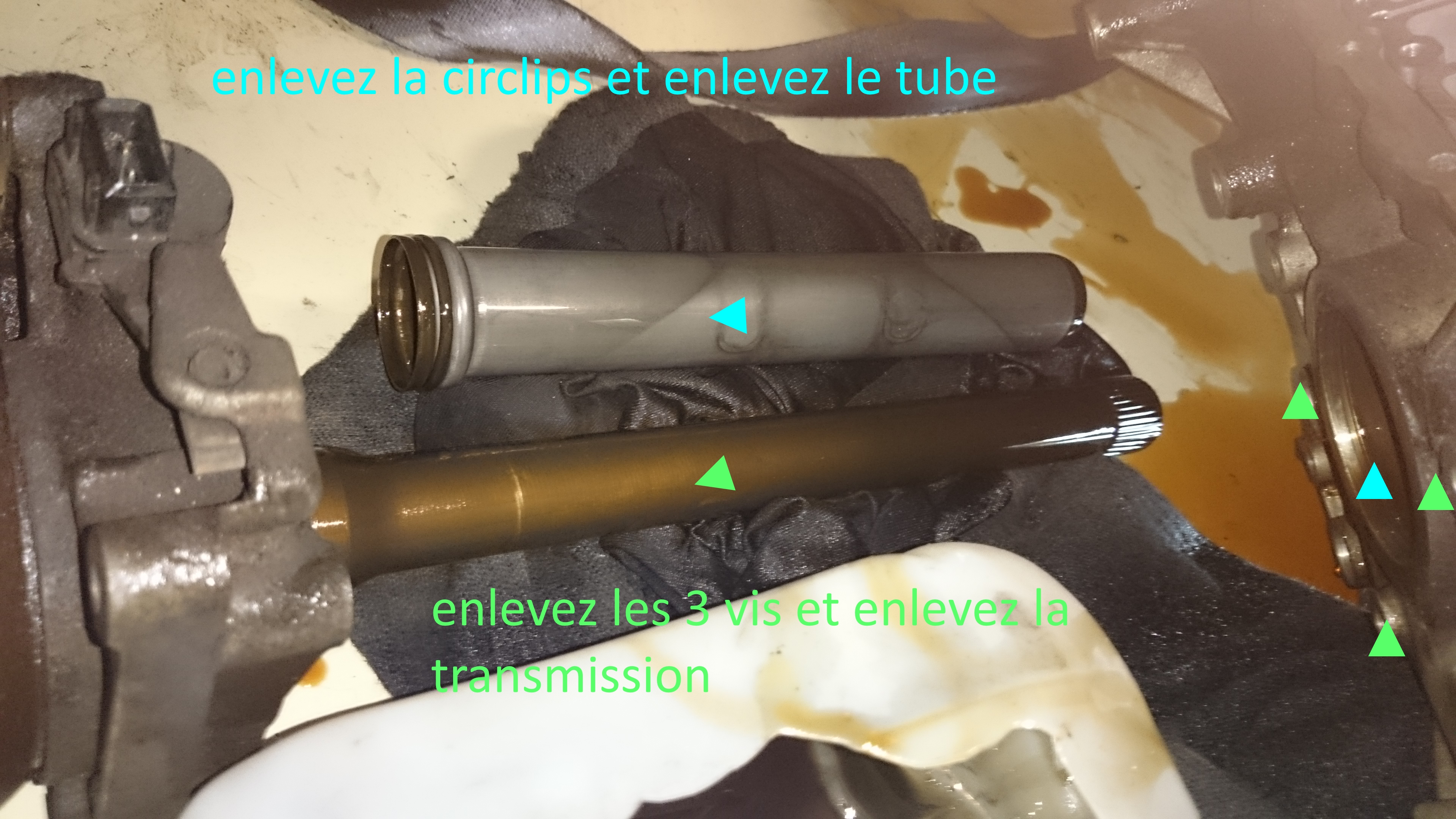 170201DSC0061.jpg