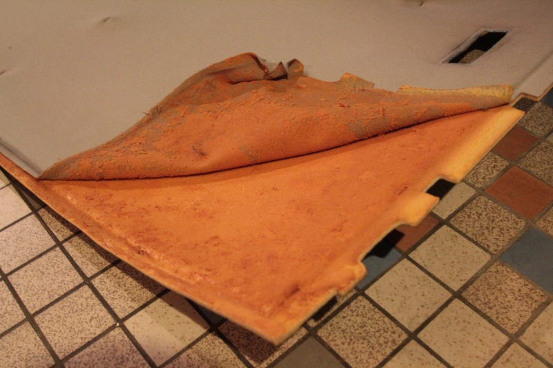 170572IMG5484.jpg