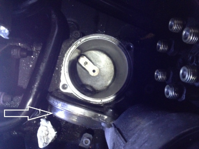 172950image2.jpg