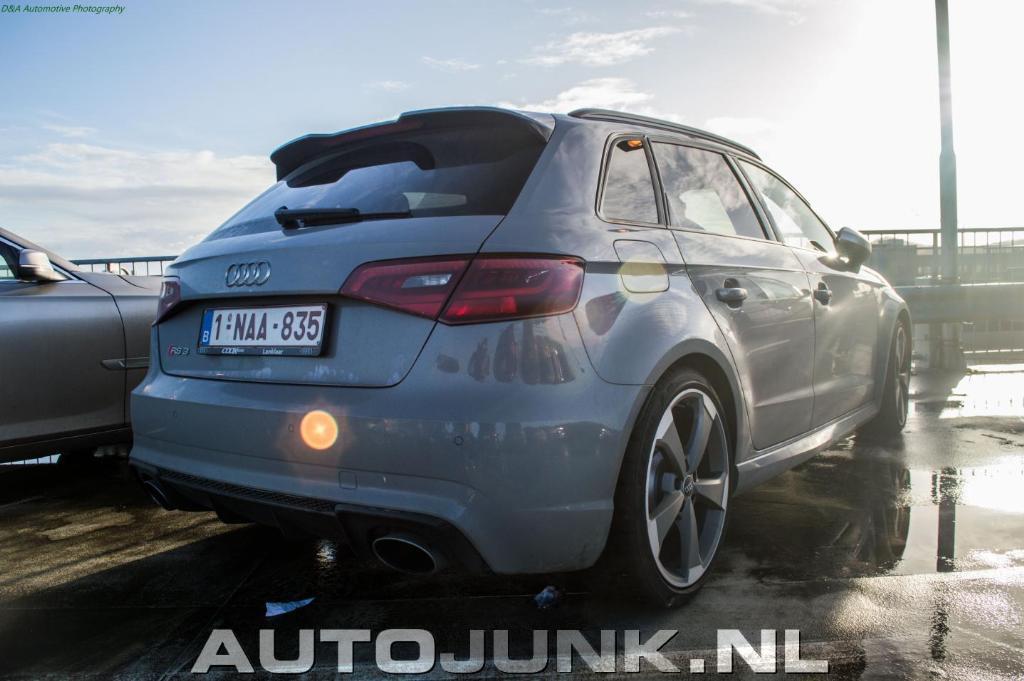 173239RS38V0903.jpg